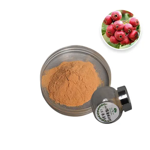 Hawthorn Berry Extract Powder